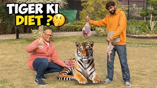 Tiger Ki Daily Diet! 🐅 Kya Khata Hai Jungle Ka Badshah? 🍖 | BT Farm Stories