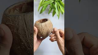 coconut shell tea cup making || #diy #shortsfeed  #bestoutofwaste #shortvideo #viralshort