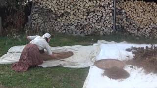 Threshing/Winnowing Amaranth by hand (removing coarse material basket \u0026 sieve) Part 3/5