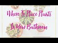 Where To Place Plants In Your Bathroom