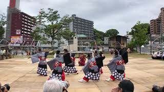 一喜一遊 黒崎よさこい祭り 2019.5.19(日)