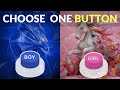 Choose One Button! BOY Vs GIRL Edition