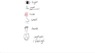 Visualising Comprehension Strategy