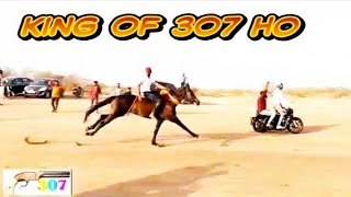 Jamnagar _ Dhichda  At Horse Racing  ( 307 Vs Rocket )