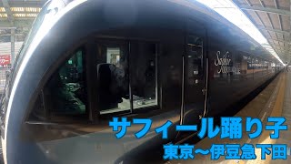 サフィール踊り子【鉄道旅】グリーン個室