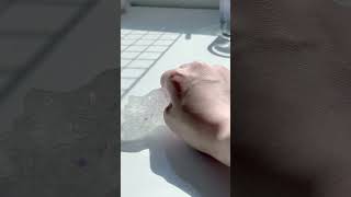 {🧊▶︎☁️}完璧で究極なクリアスライムに目を奪われる動画 音ハメ #slime #asmr