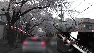 【Solo Piano】さくら（#383）【青森市桜川】