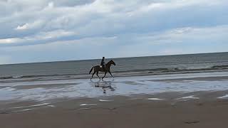 Druridge Bay Country Park. Zwiastun