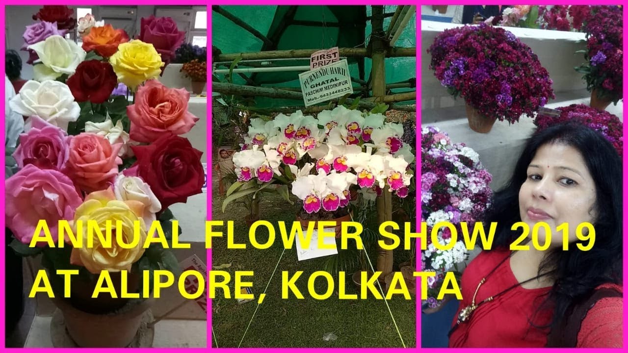 #Annual Flower Show 2019/ Flower Show At Agri -horticultural Society ...