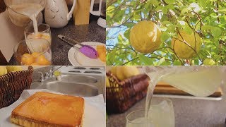 Fresh Lemonade | Cantaloupe Juice | Sweet Custard cake