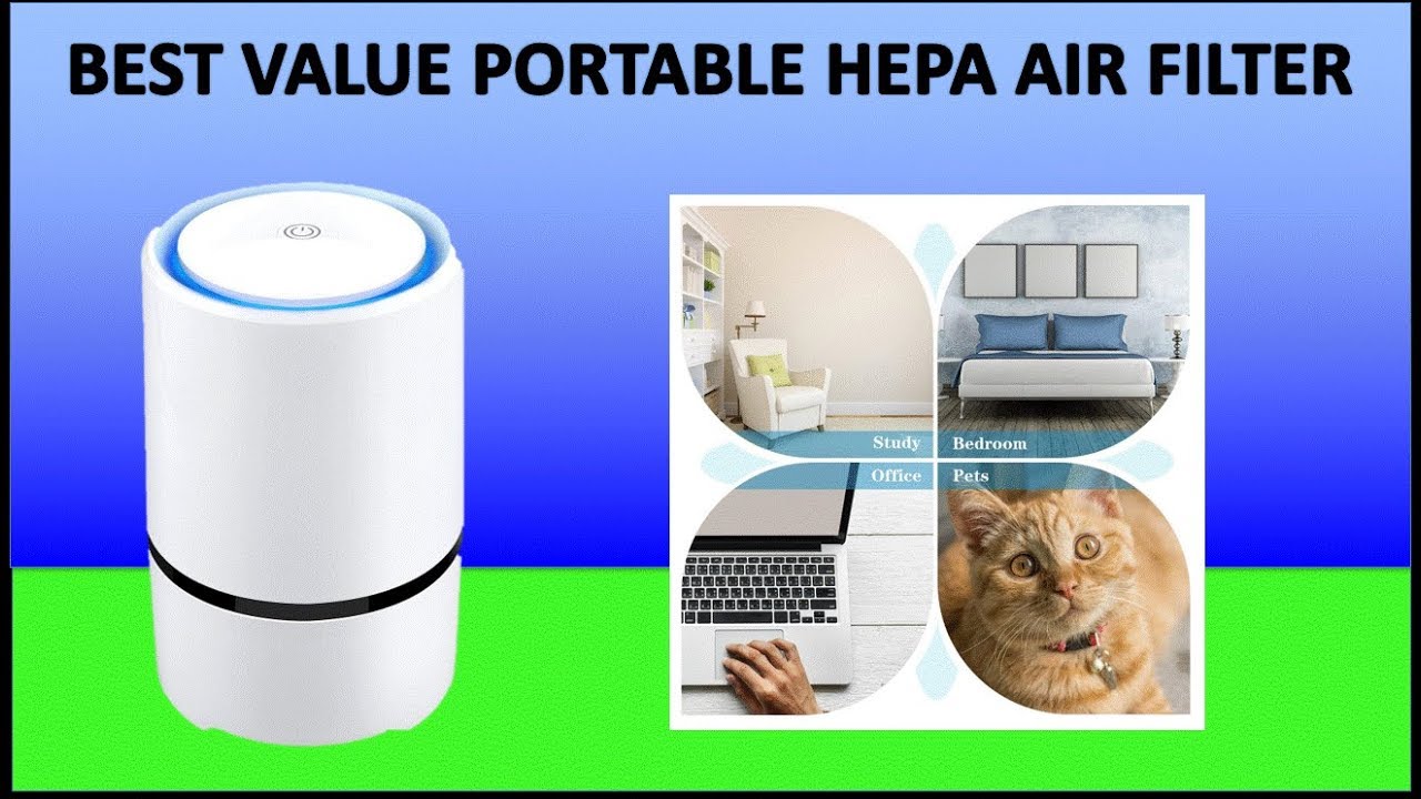 Best Air Purifier On Amazon With True HEPA & Active Carbon Filters ...