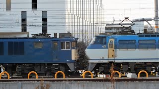 2022.01.20 JR貨物 EF66-118 + EF64-1049 国鉄色 無動力回送 岸辺駅～千里丘駅間