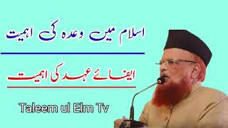 Wada Ki Ahmiyat|وعدہ پورا کرنا اور وعدہ خلافی سے بچنا ||Mofti Taqi Usmani Sahib@taleemulelmtv4770