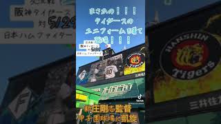 甲子園球場　新庄剛志凱旋　タイガースユニフォームで登場　交流戦　阪神タイガース対日本ハムファイターズ