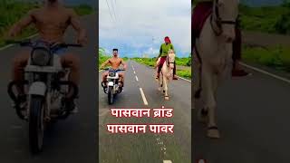 #ramesh_Reshamiya 2022 पासवान जी से बड़ बदमाश कौन ह #paswannewsayari #paswanjinewstatusvideo #shorts