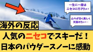 【海外の反応】人気のニセコでスキーだ！日本のパウダースノーに感動