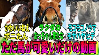 【競馬の反応集】「また馬の可愛い画像が集まるだけの動画」に対する視聴者の反応集