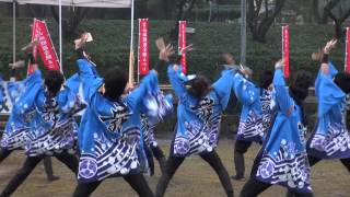 2013-11-10高山城戦国祭り「ＭＡＩＹＡ」