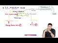 phenylalanine metabolism and overview of phenylketonuria medical biochemistry dr priyansh jain