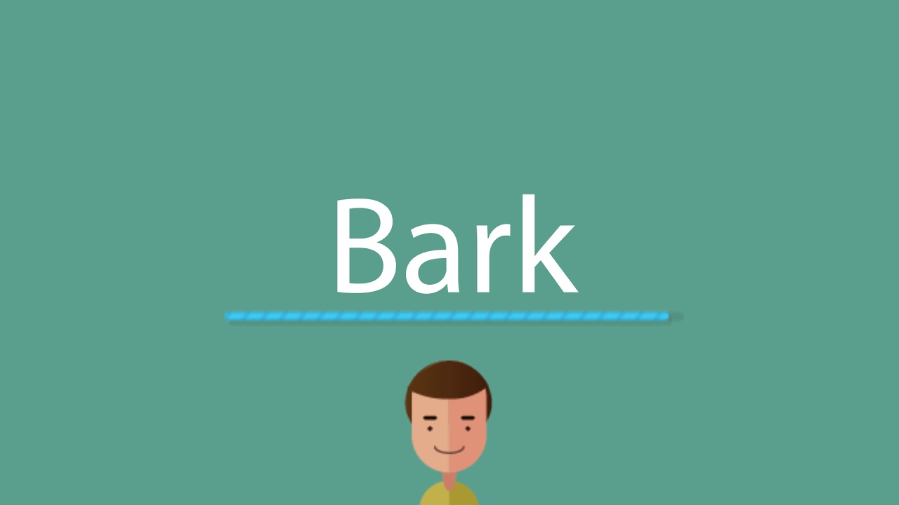Bark Pronunciation Youtube