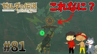 【任天堂スイッチ】ゼルダの伝説#81　祠探ししてたら壁に落書きしてあったんだけどこれは何？【生声実況】