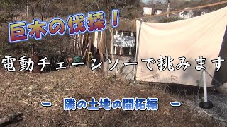 日本一小さなキャンプ場を作る＃１８隣の土地開拓編