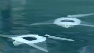 Chinese uni develops soft-body robotic manta ray