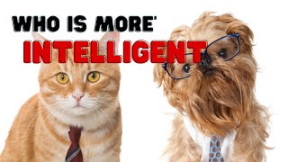 Canine and Feline Intelligence: Comparing Problem-Solving Abilities and Cognitive Skills