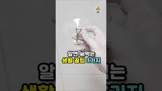 알면 평생 써먹는 생활꿀팁 3가지💡 #살림팁 #생활꿀팁 #꿀팁 #흡착식후크