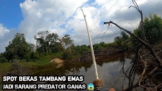 AMPUH.!!! CASTING DENGAN UMPAN BABY OZMY SILENCER DILUBANG TAMBANG EMAS  || MANCING GABUS DAN TOMAN