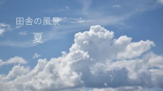 【田舎の風景】真夏日の散歩