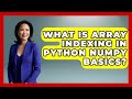 What Is Array Indexing In Python NumPy Basics? - Python Code School