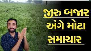 જીરુંની બજાર અંગે મોટા સમાચાર, બજારભાવ