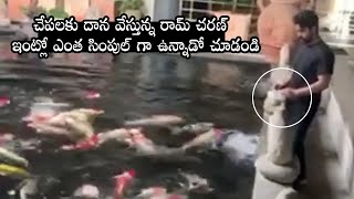 UNSEEN VIDEO: Ram Charan Feeding Imported Fishes In His Farm Home ||  Chiranjeevi Farm Hosue || MB