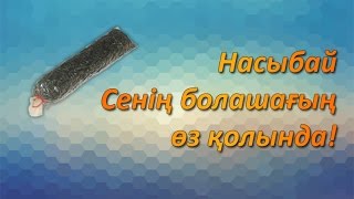 Насыбай - Сенің болашағың өз қолында!