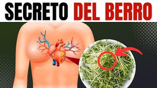 PARA QUÉ SIRVE EL BERRO: Beneficios Y Contraindicaciones ¡ESTA es LA MEJOR HIERBA Para tu Salud!