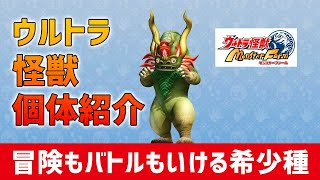 【ウルトラ怪獣モンスターファーム】プラントミクラスの個体紹介【ステータス適性・育てやすさ・ワザ】