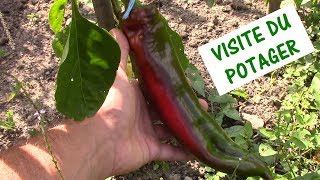 VISITE DU POTAGER / bio, sol vivant, agroécologie, permaculture,...
