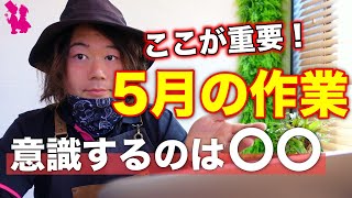 【これ大事】イチジクの5月の作業で意識するべき重要なポイント