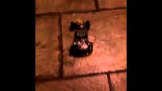 Koen's rc car LDR test