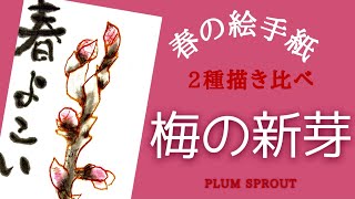 Japanese Calligraphy Art, Etegami, Easy Art, How to draw plum sprouts, Art for spring, Spring Art 