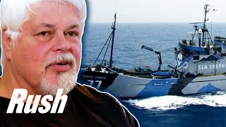 Whale Rescue Ship Impounded Moments Before Faroe Islands' Whale Hunt | Whale Wars: Viking Shores"