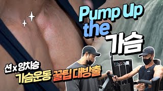 션 바디 디자인(ft양치승관장) ep6/가슴운동 꿀팁 대방출/Pump up the 가슴