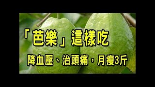 (小陳世界)為什麼老一輩的人就算牙齒掉了還是堅持吃芭樂？原來它居然有「8種超強好處」！不吃太可惜了！