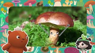 Fun Science for Kids | Nature Class | Learn from Nature with Emmy and GooRoo!