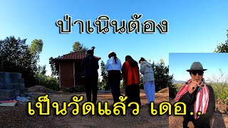 #วิถีชนบท #ดีดี วิถีบ้านๆ  วัดป่าเสนานุช  บ้านวังหิน อ.วังโป่ง จ.เพชรบูรณ์