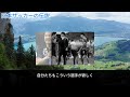 森保監督衝撃呆然！日本人若手選手の未来崩壊、協会決定に非難殺到！