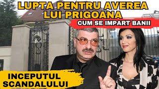 Scandal PE BANI dupa moartea lui Silviu Prigoana. Adriana Bahmuteanu, DECIZIE SOC