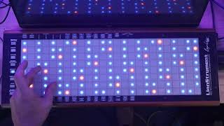 LinnProvising #6 (LinnStrument Tutorial)