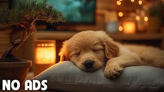 12 Hours of Calming music for dogs 🦮 Dog Music for Stress Relief 🐶 Dog Anxiety Music💖No Ads